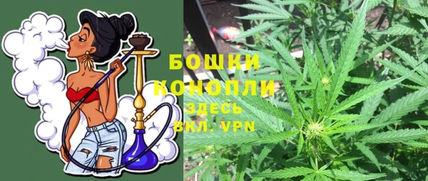 мдпв Ижевск