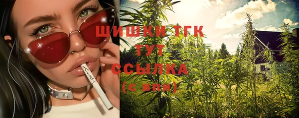 мдпв Ижевск