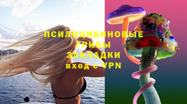 спиды Калининец