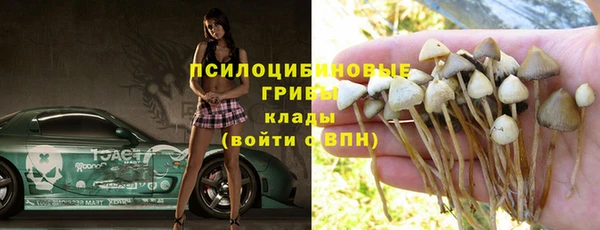 apvp Барнаул